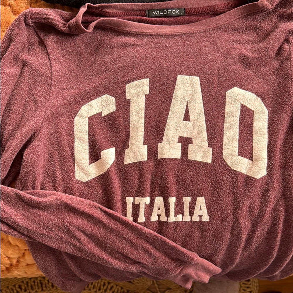 Wildfox Ciao Sweater